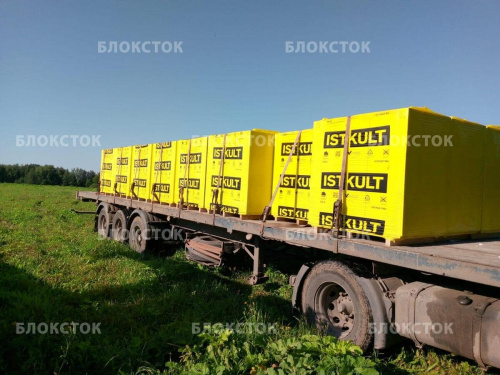 Пеноблоки Istkult D400 625х250х375 стеновые